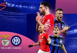 包含刚刚！本菲卡手感冰凉备战欧冠今晨本菲卡备战英超，阿森纳加时末段调整名单的词条